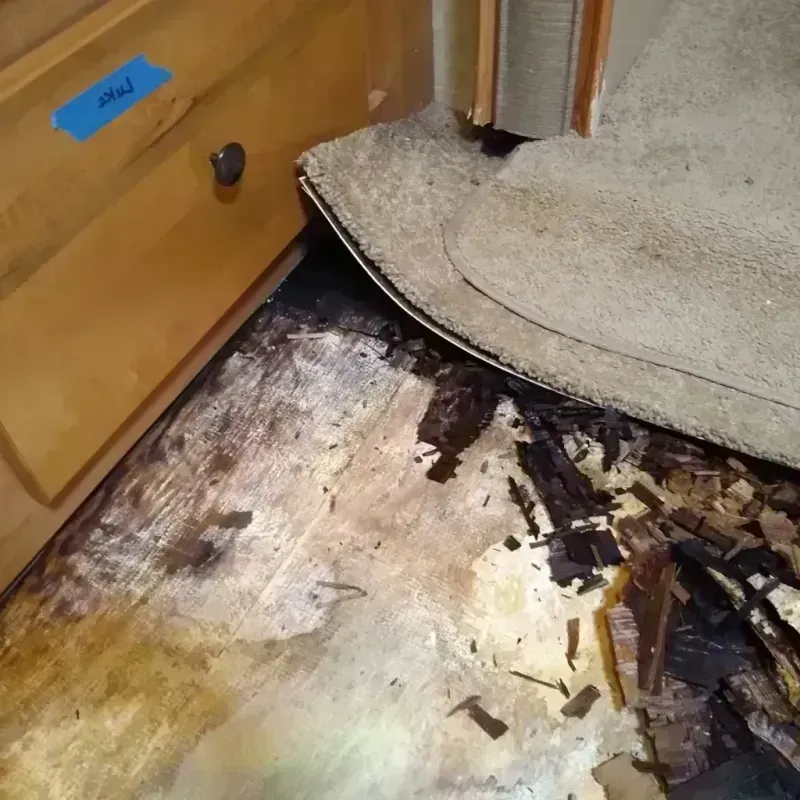 Wood Floor Water Damage in Jamestown, NC